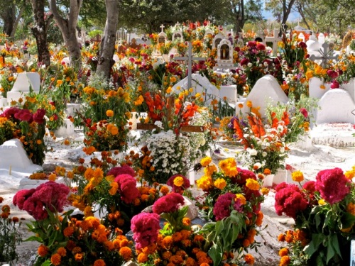 Over view of whitewashed graves and the profusion of flowers