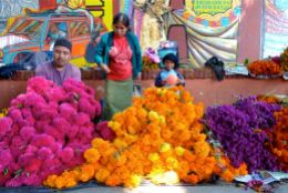 Muertos flower vendors at Sanchez Pascuas. Oct. 31, 2013.
